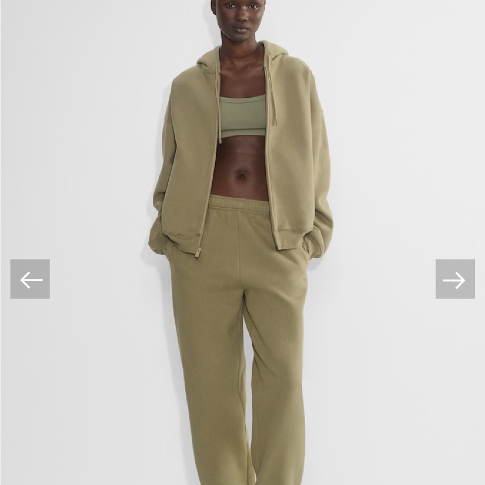Aritzia new with tags sun-dried olive green oversized hoodie.